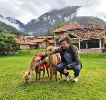 Peru, Heiliges Tal, Alpaca Babies, Latin America Tours