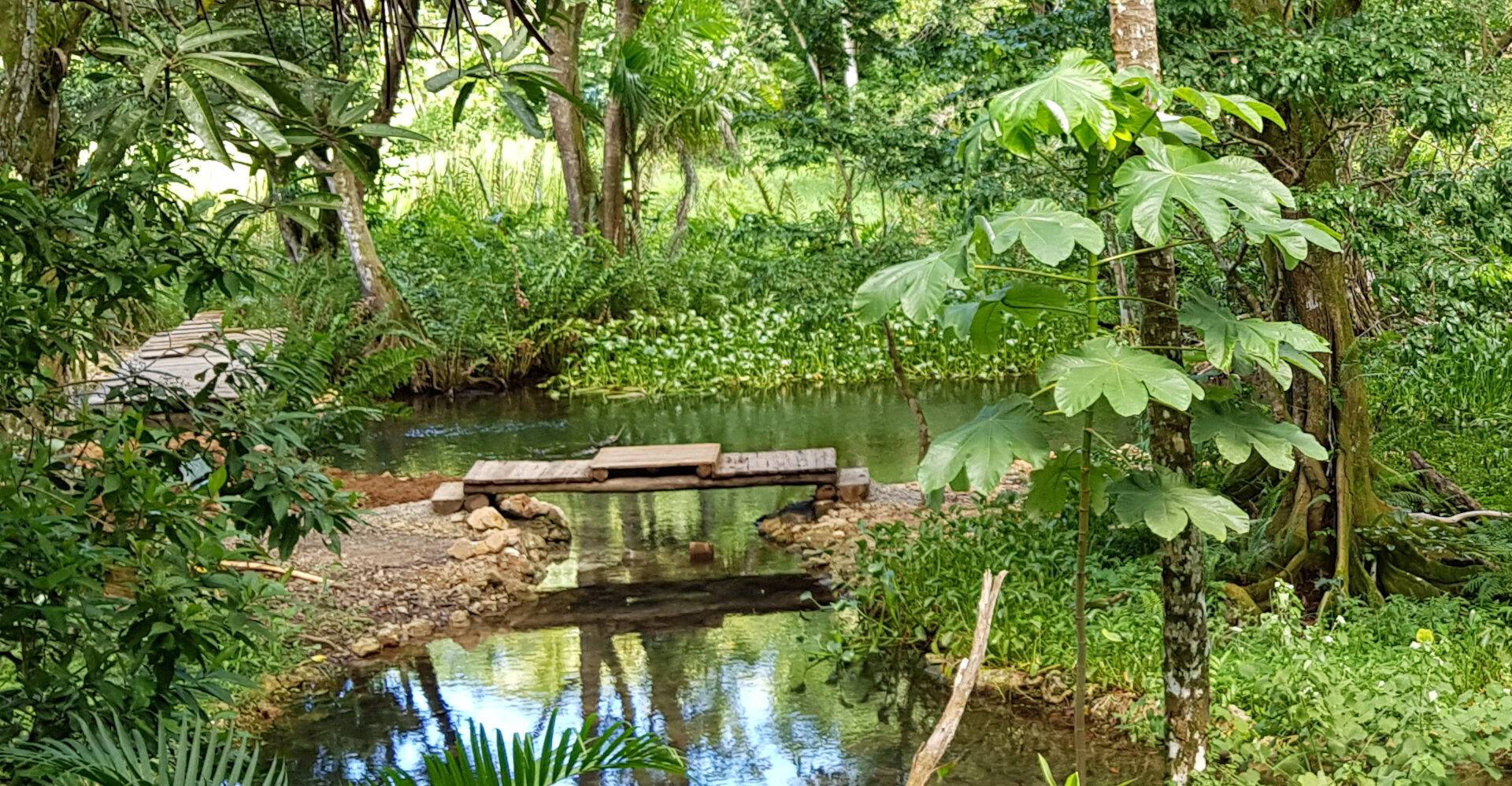 Dominikanische Republik, El Valle Lodge, Dschungel, Latin America Tours