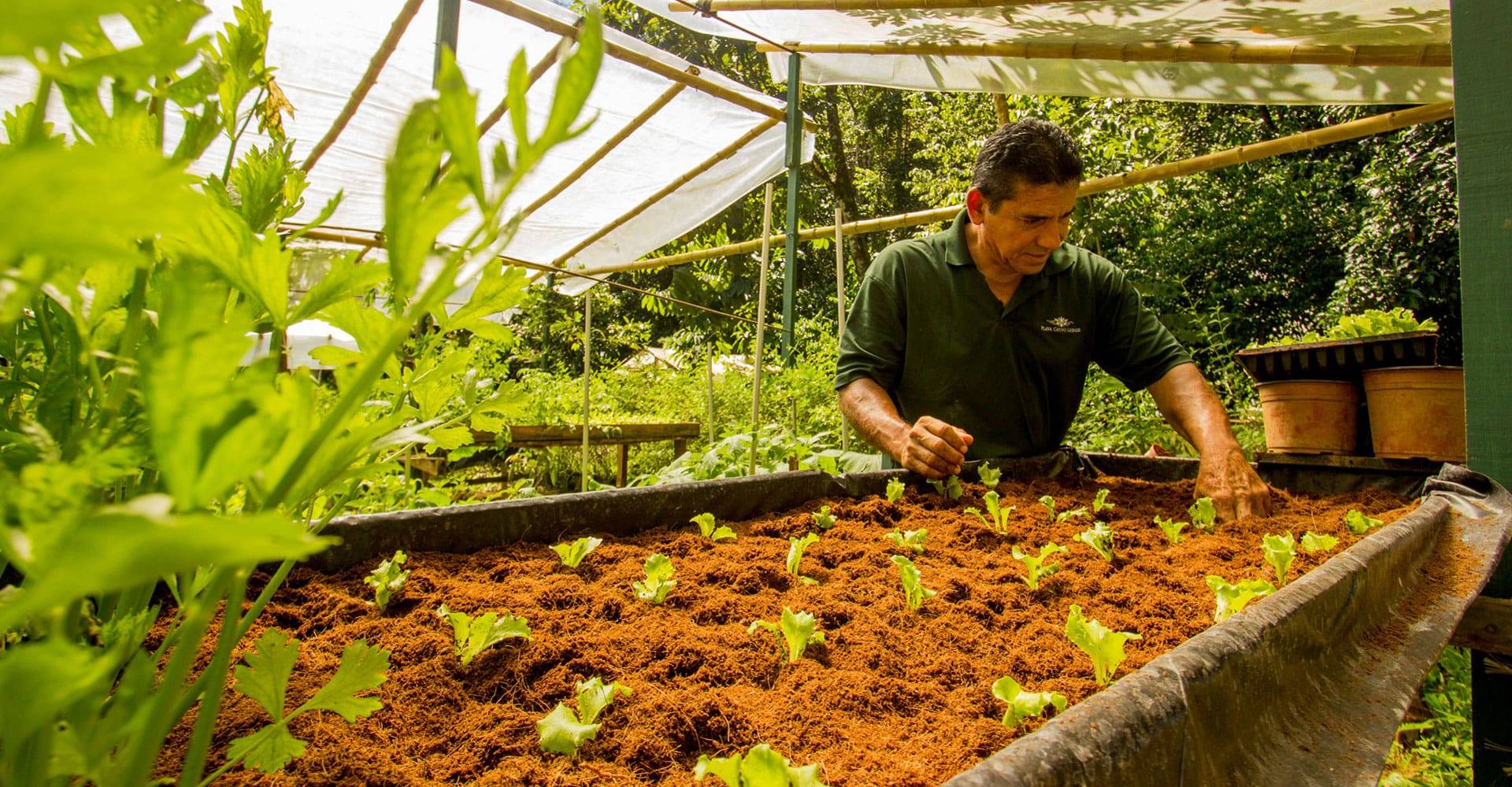 Costa Rica, Playa Cativo Lodge, Biologischer Gemüsegarten, Latin America Tours