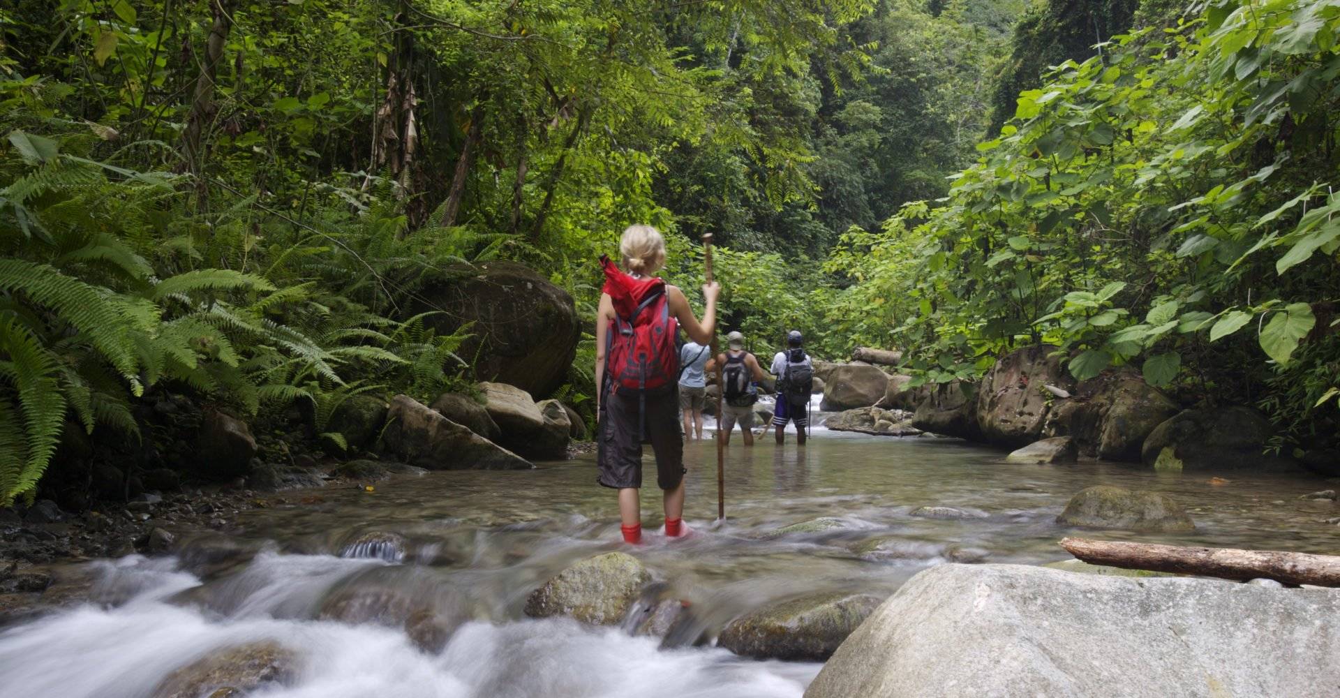 Costa Rica, Selva Bananito Lodge, Wanderung, Latin America Tours