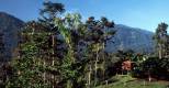 Selva Bananito Lodge, Aussicht