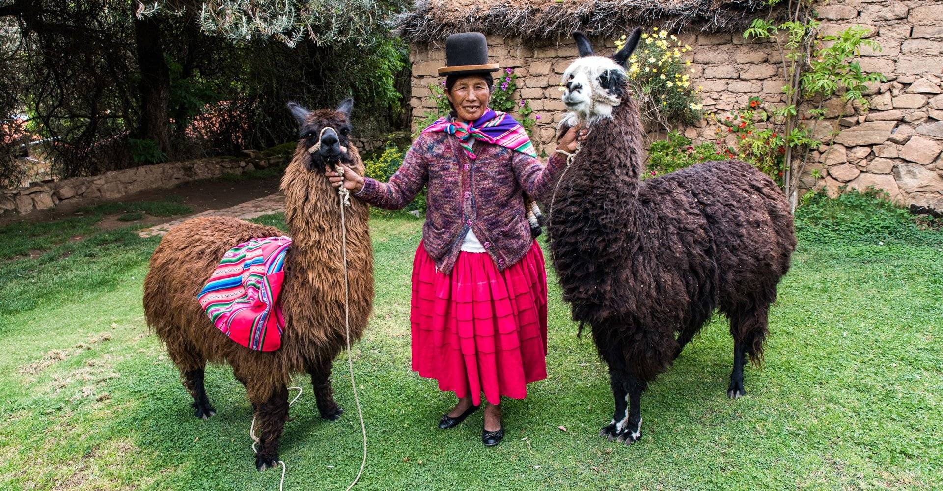 Bolivien, Posada del Inca, Indigena mit Alpakas, Latin America Tours