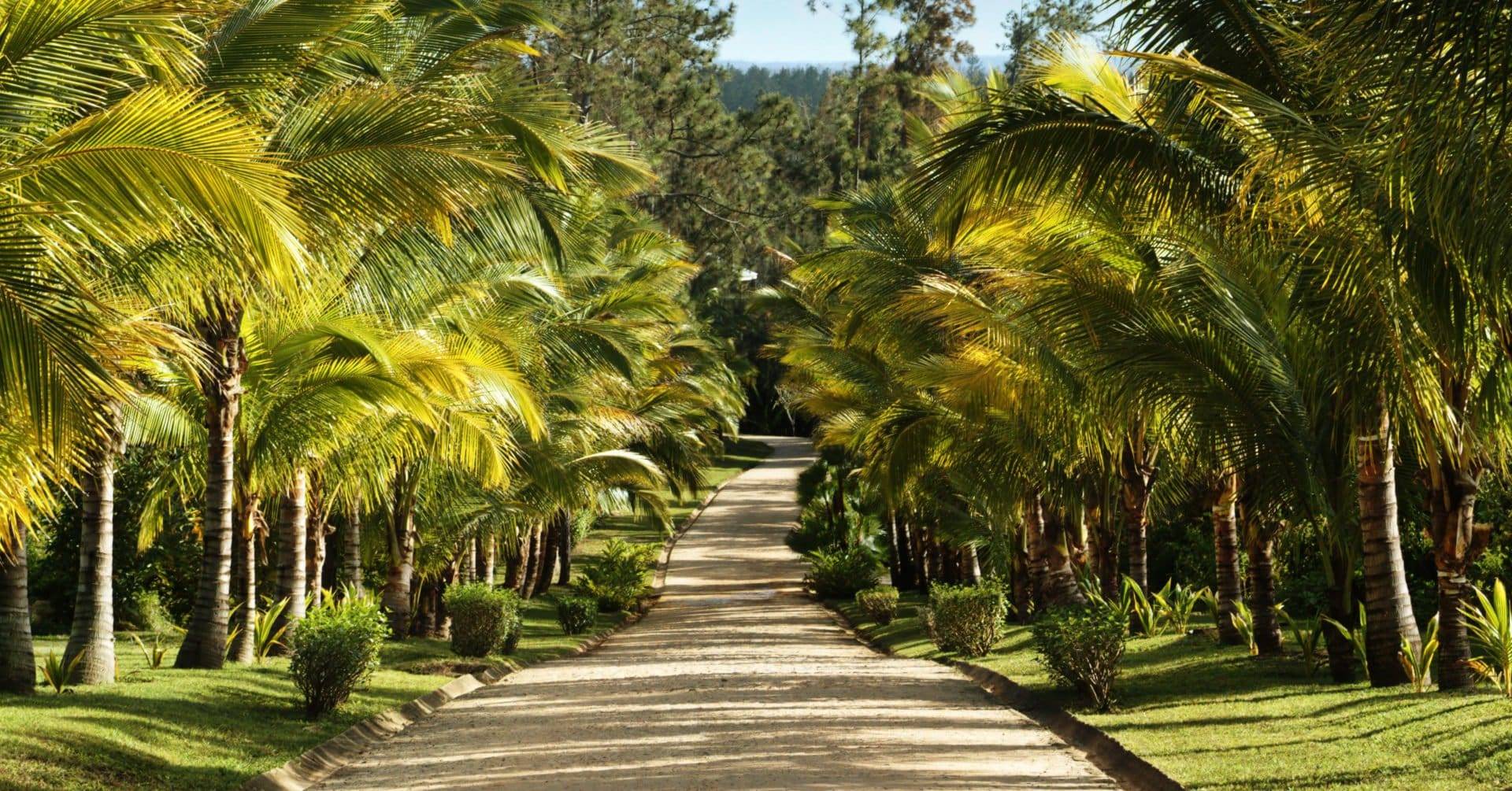 Belize, Blancaneaux Lodge, Zufahrtsstrasse, Latin America Tours